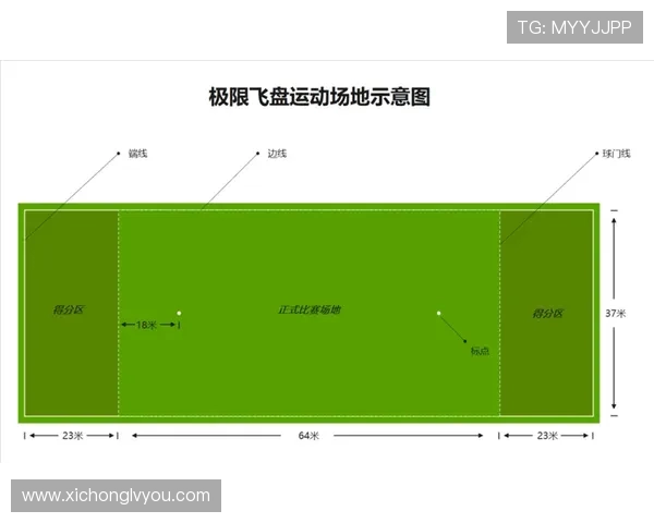 广州飞盘队技术争议引发热议球迷观点各异探讨飞盘运动的未来发展 广州飞盘队技术争议引发热议球迷观点各异探讨飞盘运动的未来发展