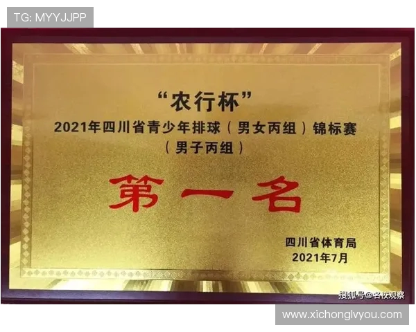 成都排球队比赛经验分析及其对战绩的影响研究