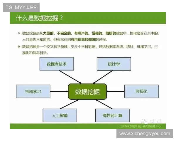 武汉街舞队技术表现深度数据分析与趋势探讨 武汉街舞队技术表现深度数据分析与趋势探讨