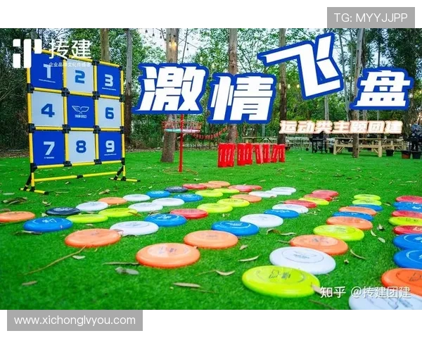 武汉飞盘队的崛起与力量探讨聚焦飞盘运动的魅力与团队精神