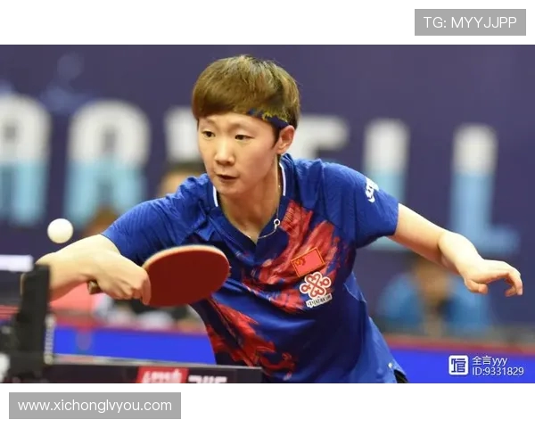 西安极限运动队反击战术深度分析与实战应用探讨