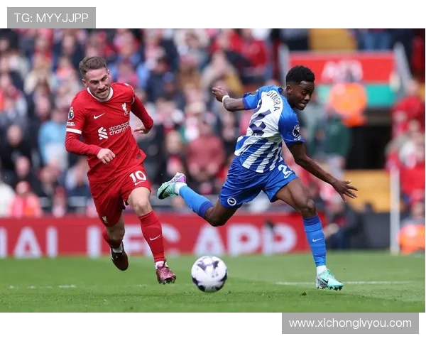 2018年布莱顿对阵利物浦比赛推荐及精彩分析