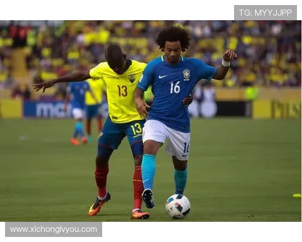 厄瓜多尔与法国激战宫磊解读精彩瞬间与战术分析