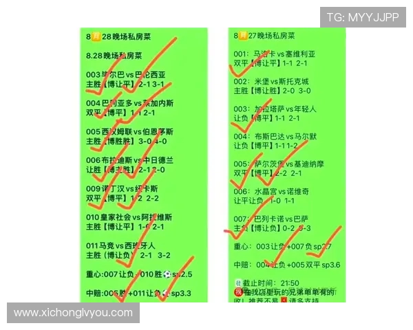 法国与葡萄牙精彩对决竞猜分析及预测攻略分享 法国与葡萄牙精彩对决竞猜分析及预测攻略分享