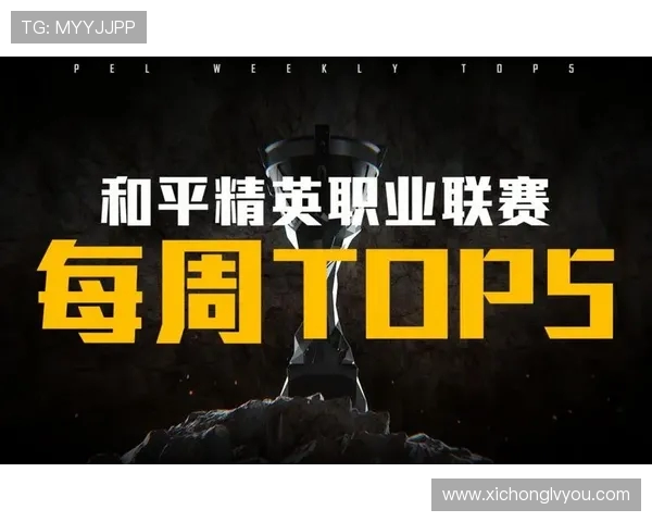 聚焦和平精英：探索WE战队如何在赛场上展现团队力量与合作精神