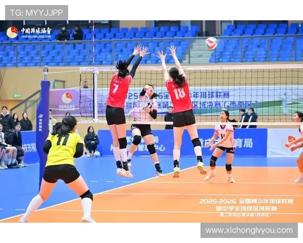 北京排球队的节奏与风格探讨：聚焦排球的魅力与挑战