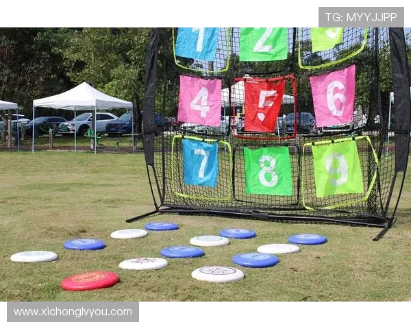 广州飞盘队的意识觉醒与团队精神探讨聚焦飞盘运动的未来发展