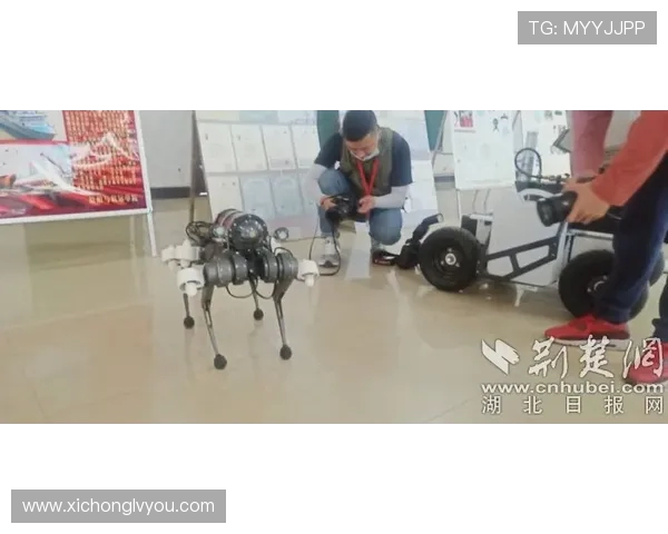 武汉街舞队荣登全国街舞速度排行榜第二名引发热议